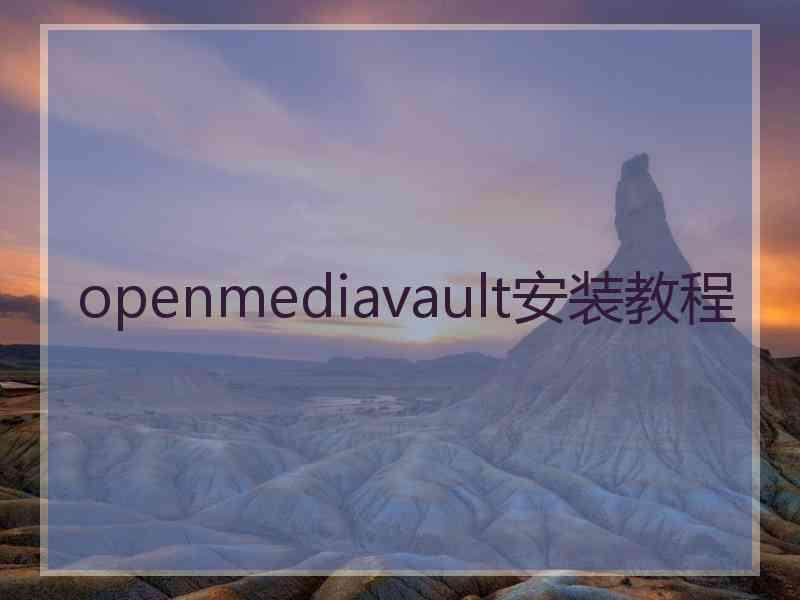 openmediavault安装教程